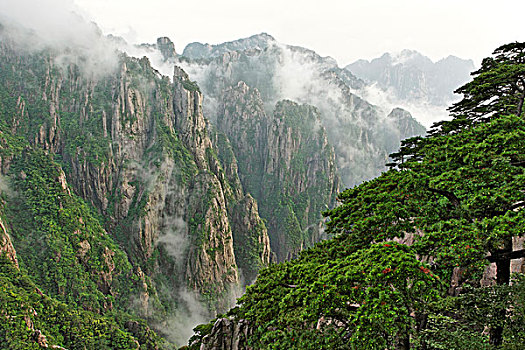 一喷就昏睡三个小时的药有吗C1B8D97C5-18975